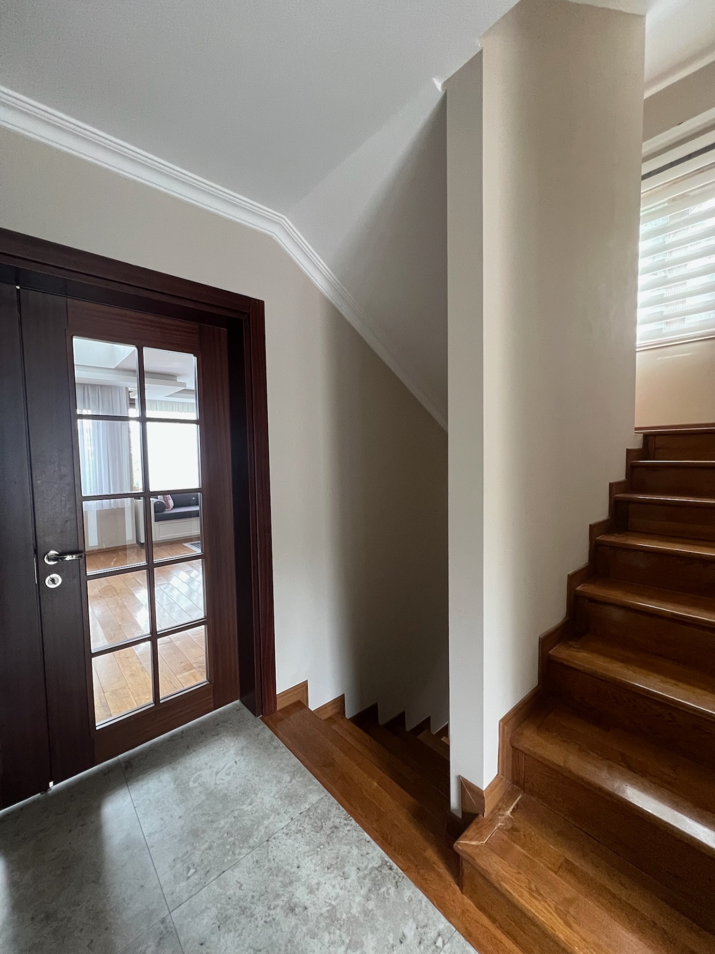 Dark mahogany glazed door with Georgian muntins