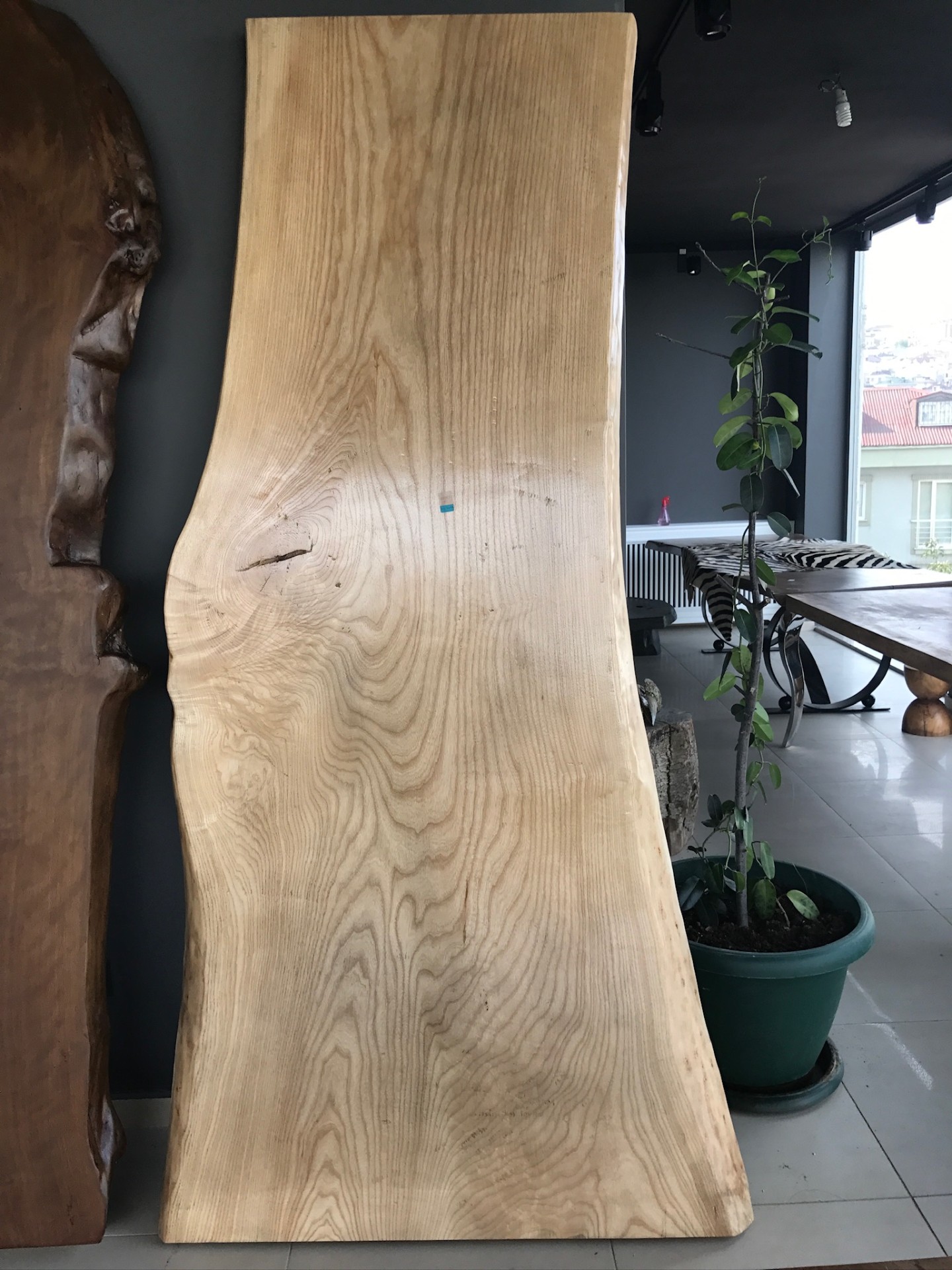 Live-edge ash slab — raw material for a signature table